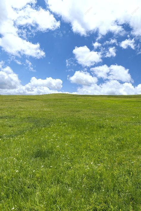 Grassland Vegetation Morning Grassland Summer Material Photography Map With Map Background And Picture For Free Download - Pngtree WANT MORE WALLPAPER IDEAS? VISIT OUR OFFICIAL SITE https://sensey.countycourtreportersinc.su Nature, Nature Background Aesthetic, Tropical Grassland, Grassland Aesthetic, Nature Wallpaper Backgrounds, Nature Background Landscape, Summer Landscape Photography, Places Background, Background Nature Landscape