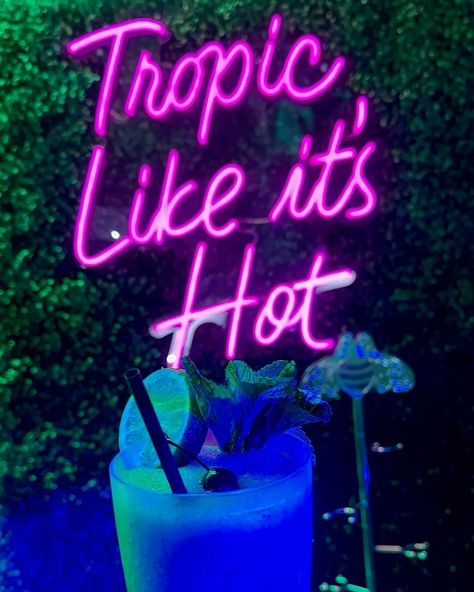 Neon Tropical Party, Seussical Jr, Mojito Bar, Miami Aesthetic, Miami Nightlife, Miami Sunset, Miami Life, Tropical Party, June 19