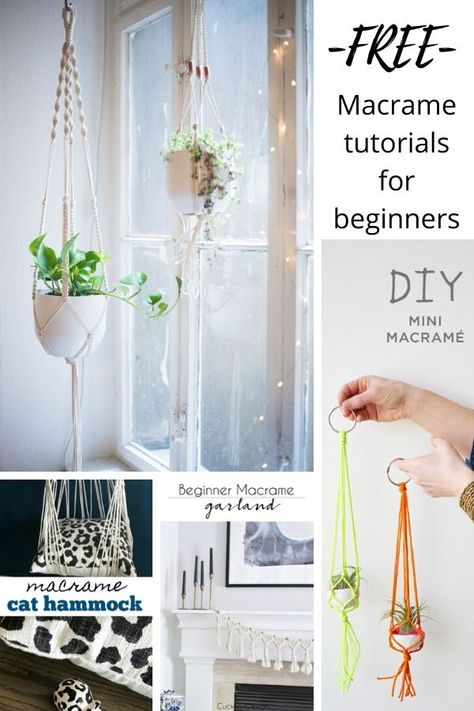 Macrame Beginner, Macrame Pot Holder, Macrame School, Macrame Cat Hammock, Curtain Macrame, Macrame Garland, Basic Macrame, Macrame Hammock, Macrame Plant Hanger Tutorial