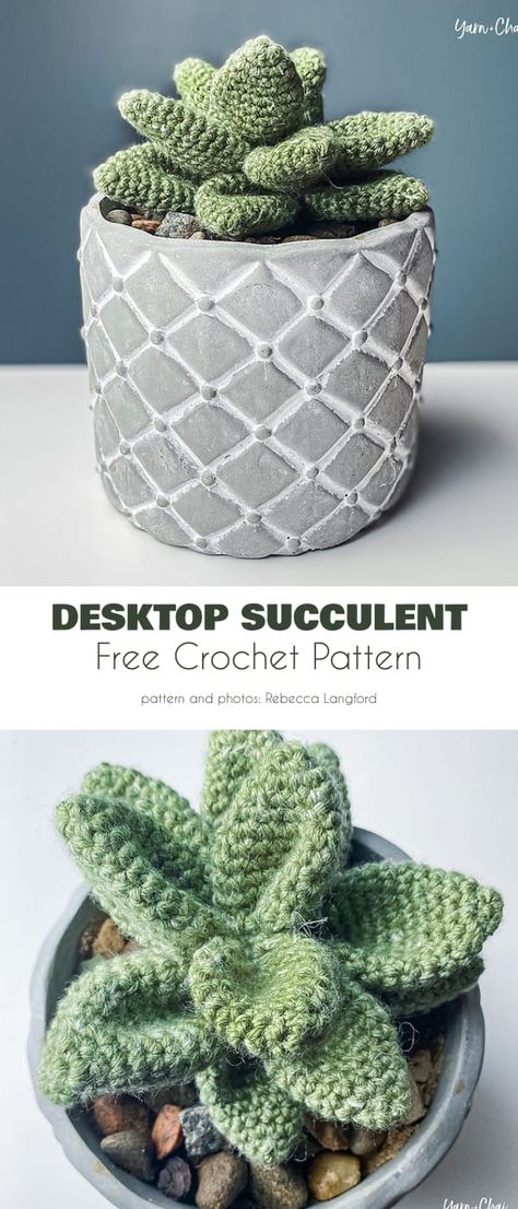 Crochet Patterns Succulents, Coffe Cup Gifts, Easy Crochet Succulent Pattern Free, Cute Crochet Plants Free Pattern, Crochet Succulent Amigurumi, Houseplant Crochet Pattern, Free Amigurumi Plant Pattern, Cute Crochet Plants, Eucalyptus Crochet Pattern Free