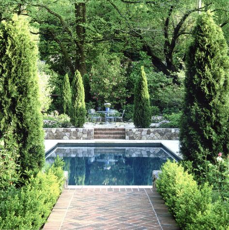 Historic Bungalow — Strata Landscape Architecture Cheap Inground Pool, Inground Pool Shapes, Small Inground Pool Ideas, Inground Pool Ideas, Small Inground Pool, Rectangular Swimming Pools, Square Pool, Pool Landscape, Pool Landscape Design