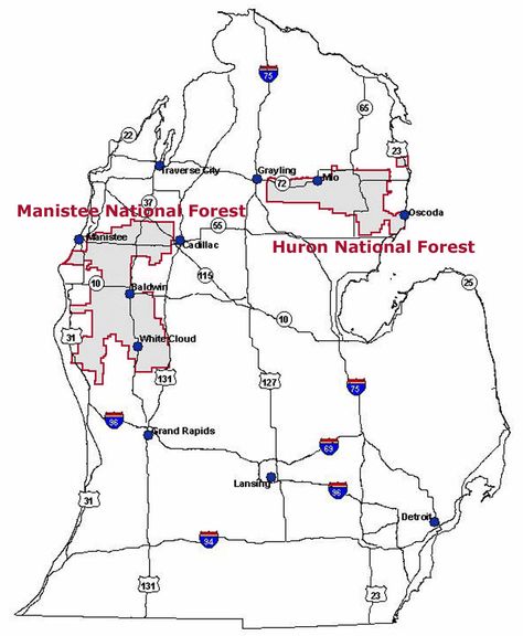 Map of the Huron-Manistee National Forests showing the location of the Forests within Michigan Manistee National Forest, Travel Michigan, Forest Map, Michigan Travel, Camping Spots, Future Travel, North America Travel, Great Lakes, National Forest