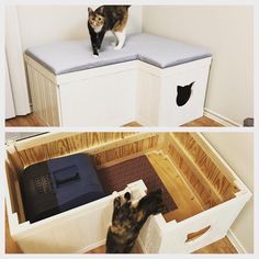 (236) Pinterest Built In Cat House, Boho Cat Litter Furniture, Hidden Litterbox Ideas Diy, Kitty Litter Furniture, Hidden Cat Box Ideas, Creative Cat Litter Solutions, Hidden Cat Furniture, Cat Building Ideas, Cat Litterbox Ideas