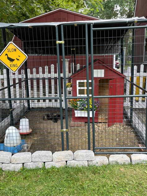 Outside Duck Pen, Duck Coop Decorations, Duck House Diy Easy, Playhouse Duck Coop, Duck Coop Accessories, Duck Set Up Ideas, Duck Fence Ideas, Kids Playhouse Chicken Coop, Duck Cage Ideas