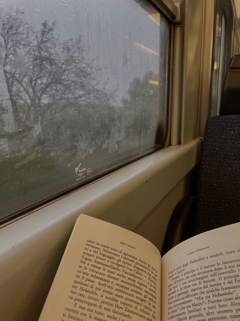 read book books rain raining thunderstorm aesthetic old money dark academia idea ideas inspo outift christmas winter autumn fall blazer leather pants grey brown black photo selfie pic train rides lonely girl boy mirror vintage recipe tree gift hoodie top shoes dress Trees, An Open Book, Open Book, A Train, Train