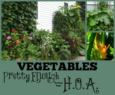 HOA Rules got you down? Guess what? Your garden doesn't have to LOOK like a garden. Permaculture, Gardening In An Hoa, Garden Upcycling, Attainable Sustainable, Cockle Shells, Edible Landscape, Edible Gardening, Garden Hacks, Pretty Garden