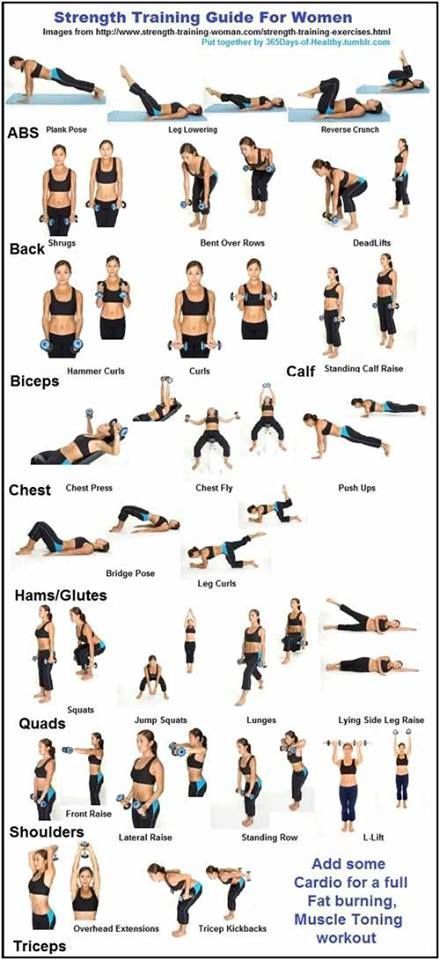 Beginner Weight Lifting Routine, Weightlifting For Beginners, Weight Training Schedule, Weight Training For Beginners, Weights Workout For Women, Weight Training Plan, Fitness Studio Training, Weight Training Women, Strength Training Guide