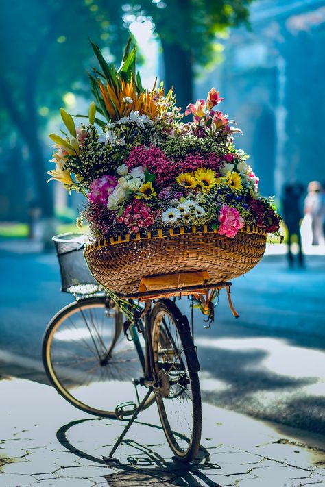 flowers in brown woven basket on bicycle photo – Free Hanoi Image on Unsplash Happy Woman's Day, Online Florist, Church Activities, Happy Womens Day, Photos Hd, Day Wishes, Women's Day, Happy Women, Travel Abroad