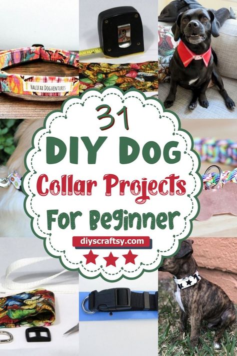 DIY Dog Collar Projects Dog Collar Diy Tutorials, Dog Collar Pattern, Fancy Dog Collars, Dogs Diy Projects, Velvet Dog Collar, Personalized Leather Dog Collar, Diy Dog Collar, Luxury Dog Collars, Collars Diy