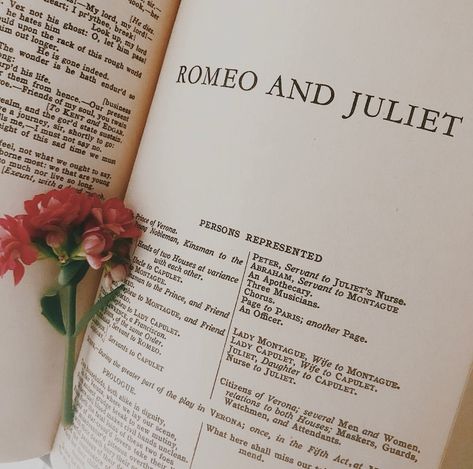 Francisco Lachowski, Romeo + Juliet Aesthetic, Bella Y Edward, Romeo Ve Juliet, Three Musicians, Shakespeare Sonnets, Light Academia Aesthetic, Romantic Academia, Romeo Y Julieta