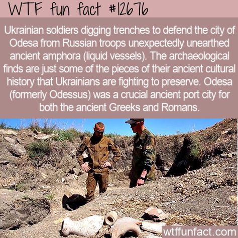 Cool History Facts, Funny History Facts, Cool History, Weird History Facts, Historical Nonfiction, Weird History, Funny History, Support Ukraine, Facts Funny