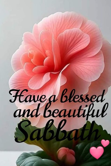 Blessed Sabbath Quotes, Sabbath Blessings Quotes, Happy Sabbath Quotes Inspiration, Happy Sabbath Blessings, Happy Sabbath Quotes Beautiful, Sabbath Greetings, Sabbath Prayer, Sabbath Blessings, Blessed Saturday