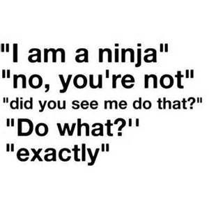 Ninja Quotes, Ninja Quote, Thoughts For The Day, Quirky Quotes, I Am Not Afraid, Quotes Wisdom, Fun World, Funny Picture Quotes, Not Afraid