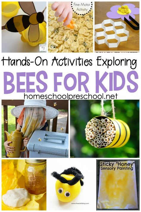 Engaging, hands-on activities exploring bees for kids! Kids will love learning about honey bees with these fun facts and hands-on activities. #homeschoolprek #beesforkids #preschoolbees #handsonpreschool Bees Theme Preschool, Bee Lessons For Preschoolers, Bee Stem Activities, Sustainability Activities For Kids, Honeybee Activities, Honey Bee Crafts, Beehive Craft, Learning About Bees, Bee Projects