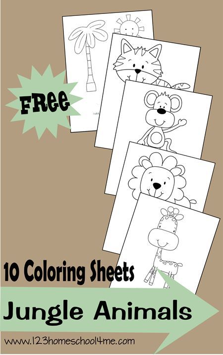 Super cute free printable coloring pages with a jungle theme. These animal coloring sheets are great for toddler, preschool, kindergarten, and more. Baby Jungle Animals, Animals Coloring, Jungle Baby, Animal Coloring, Jungle Animal, Jungle Theme, Animal Coloring Pages, Free Printable Coloring, Preschool Kindergarten