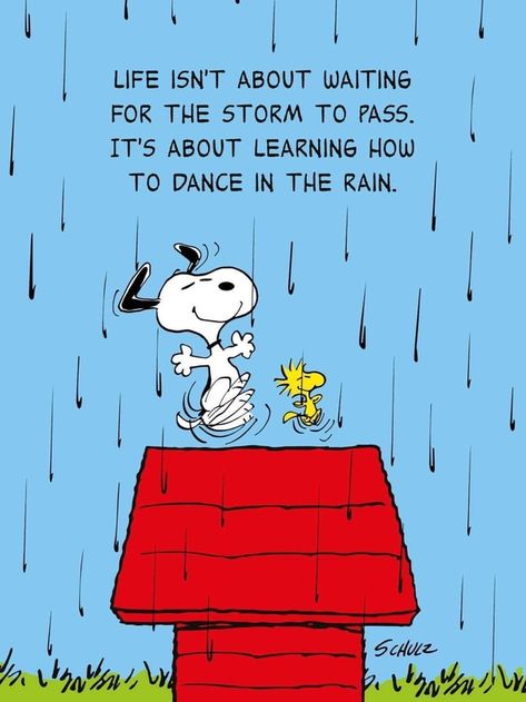 Humour, Charlie Brown Quotes, Good Morning Snoopy, Snoopy Cartoon, Snoopy Funny, Peanuts Snoopy Woodstock, Snoopy Images, Snoopy Wallpaper, Snoopy Pictures