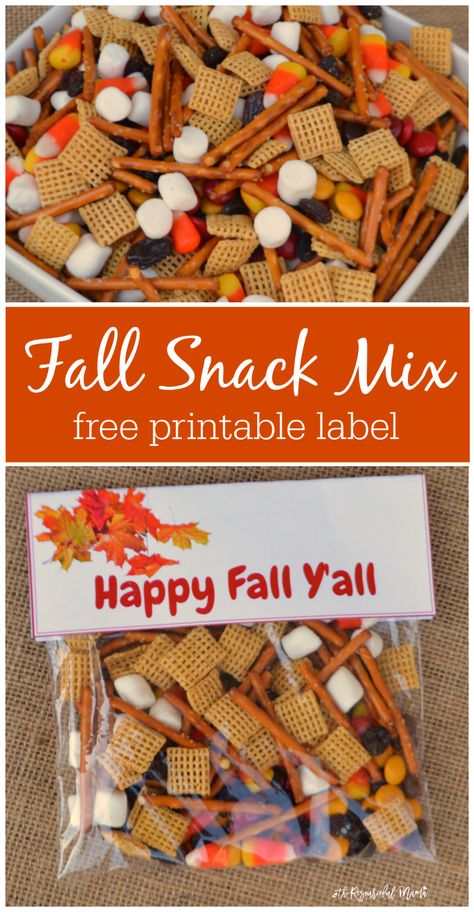 Quick and easy fall snack treat bag prefect for school snacks, fall gatherings an parties. Grab a free printable label for your snack bags. Fall Snack Mix, Snack Treat Bags, Fall Snack Mixes, Class Snacks, Jansport Backpacks, Classroom Snacks, Teenager Boy, Thanksgiving Snacks, Fall Harvest Party