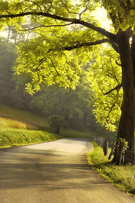 Cades Cove, Landscape Photography Tips, Road Pics, Morning Drive, Morning Nature, Blur Photo Background, Beautiful Roads, Fotografi Alam Semula Jadi, Landscape Photography Nature