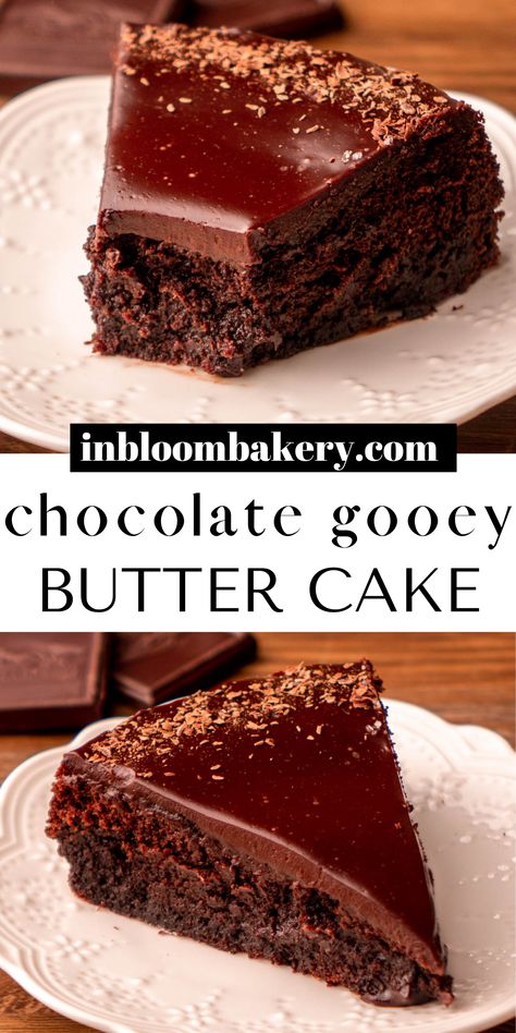 This is the best chocolate gooey butter cake recipe! It's a dark chocolate cake with a gooey chocolate cream cheese topping and chocolate ganache. Each gooey bite is full of chocolate flavor and totally melts in your mouth! Chocolate Gooey Butter Cake, Turtle Fudge, Gooey Butter Cake Recipe, Chocolate Butter Cake, Gooey Chocolate Cake, In Bloom Bakery, Bloom Bakery, Gooey Cake, Vegan Deserts