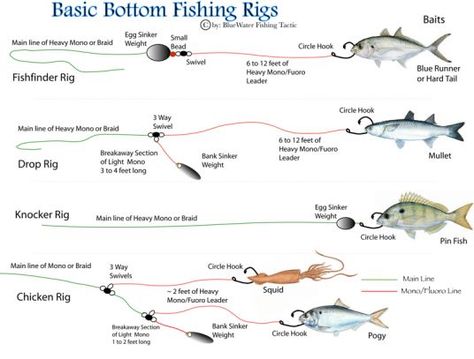 Essential Bottom Fishing Rigs – A Comprehensive Guide on http://miamifishing.com/fishing-reports/essential-bottom-fishing-rigs-comprehensive-guide Bottom Fishing Rigs, Surf Fishing Rigs, Bottom Fishing, Catfish Fishing, Salt Water Fishing, Fishing Rigs, Fishing Techniques, Fishing Knots, Freshwater Fishing