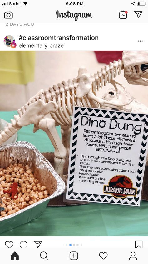 Fossil Classroom Transformation, Jurassic Park Room Transformation, Dinosaur Classroom Transformation, Jurassic Park Classroom Transformation, Fossils Activities, Dinosaur Classroom, Classroom Transformation, 1st Year, Classroom Theme