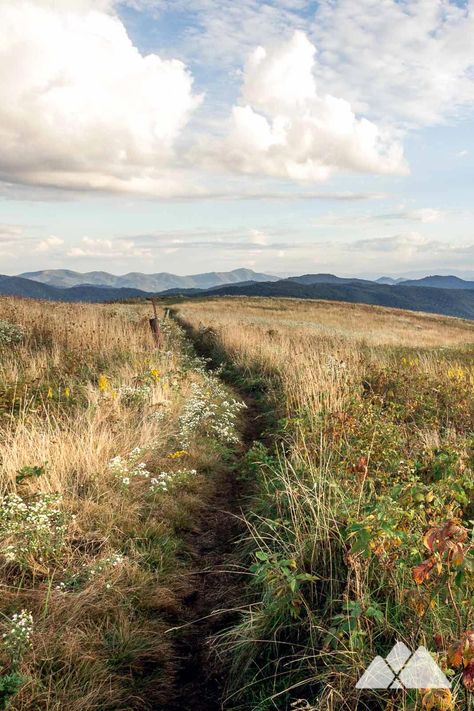 Road Trip Mountains, Lanscape Photoshoot Nature Aesthetic, North Country Aesthetic, Forest Hike Aesthetic, Smoky Mountain Aesthetic, Asheville Aesthetic, Outdoor Asethic, Grassy Mountains, Appalachian Aesthetic