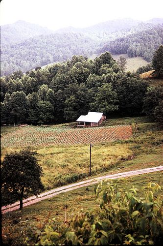 A Farm in the Mountains of Western North Carolina North Carolina Mountains, Rural North Carolina, Letting Someone Go, Carolina Mountains, Southern States, Nc Mountains, Summer Scenes, North Country, North Carolina Homes