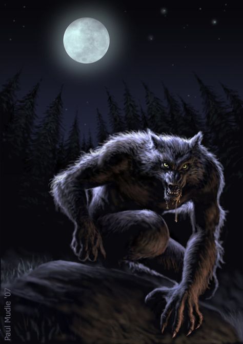 EUROPE's_Werewolf: also known as a lycanthrope is a mythological or folkloric human with the ability to shapeshift into a wolf or a therianthropic hybrid wolf-like creature. Werewolf Art, Legends And Myths, Vampires And Werewolves, Classic Monsters, Creatures Of The Night, Mythological Creatures, The Villain, Caricatures, Mythical Creatures