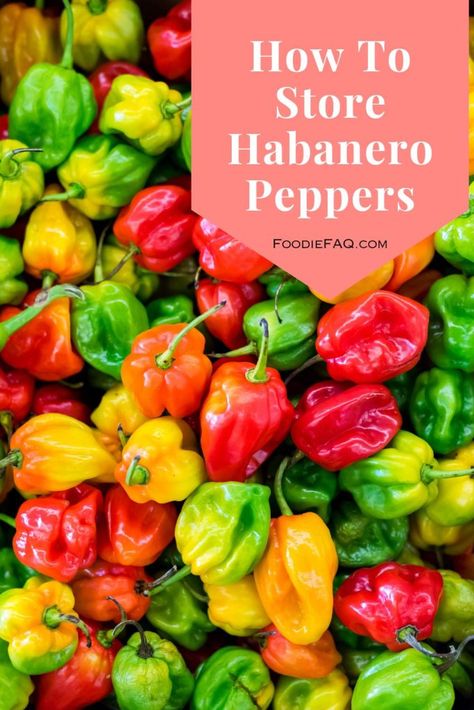 How To Can Habanero Peppers, Canned Habanero Peppers, How To Pickle Habanero Peppers, Recipes For Habanero Peppers, Preserve Habanero Peppers, Fresh Habanero Recipes, How To Preserve Habanero Peppers, Preserving Habanero Peppers, What To Do With Habanero Peppers