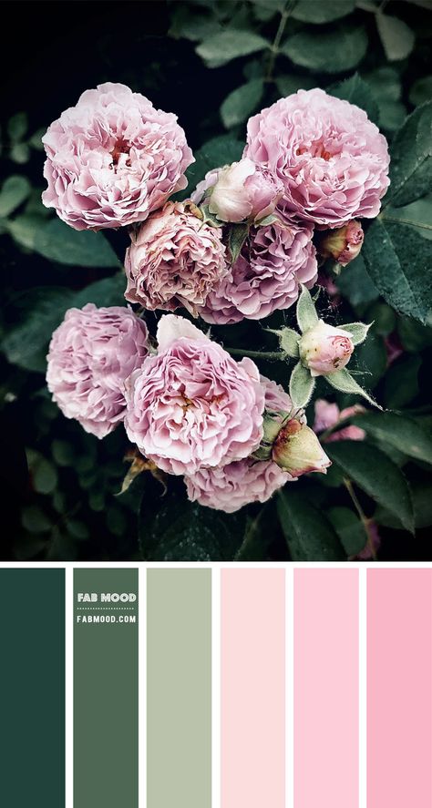 Color inspiration images Archives 7 - Fab Mood | Wedding Colours, Wedding Themes, Wedding colour palettes Pink And Sage Colour Palette, Neutral Pink Color Palette Wedding, Sage And Red Bedroom, 10 Colors Palette, Sage Green And Pink Colour Palette, Pink Sage Color Palette, Purple Pink Green Color Palette, Light Pink Colour Palette, Colours That Go With Pink