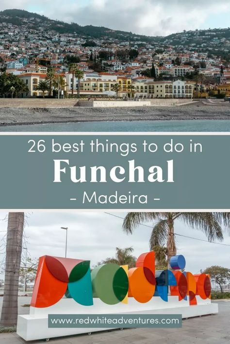 If there’s something you should know about the capital city of Madeira it’s that there are plenty of things to do in Funchal. It is by far one of our favourite places on the island because of the amount of things you can do. Funchal is a coastal city that is built up into the mountains so you’re close to both cute cafés AND hiking at the same time. If you love being outdoors, doing sports, and cute cafes you’re going to love Funchal and everything it has to offer. Cute Cafes, Funchal Madeira, Cruise Ports, Celebrity Cruise, Coastal City, Natural Swimming Pools, Natural Swimming Pool, Coastal Cities, Cruise Port