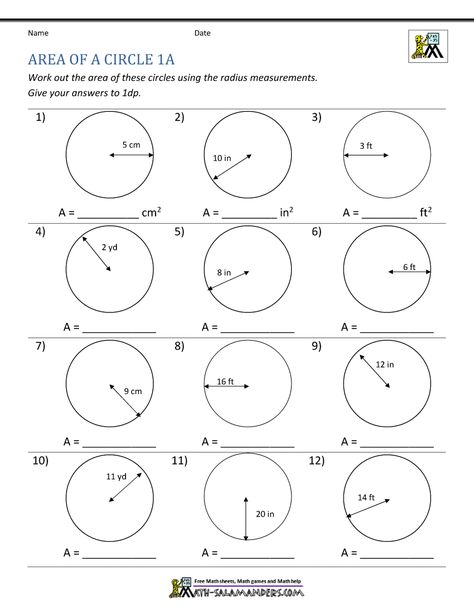 Use the radius measurements to find the area of these circles. Area Of Circle, Circle Worksheet, Circumference Of A Circle, Area And Perimeter Worksheets, Parts Of A Circle, Finding Area, Area Worksheets, Find The Perimeter, Area Of A Circle