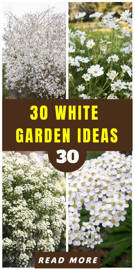 White-flowering plants are frequently disregarded in landscape design due to their lack of vibrancy. However, white flowers can effectively brighten up dark areas of the garden and serve as a neutral color in mixed plantings, enhancing the vibrancy of brighter hues. Additionally, they can be utilized to tone down the impact of bold color schemes or create a striking effect in a monochromatic scheme, such as an all-white garden. Below are 20 plants with white flowers you can try to grow in your g White Trailing Flowers, Tall White Perennials, White Flower Beds In Front Of House, White Flowers For Planters, White Flowering Bushes, White Perennials Full Sun, Bushes With White Flowers, White Plants Landscaping, White Gardens Landscaping