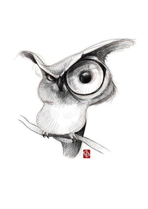 ArtStation - Sketchy cartoony animals, KHASIS LIEB رسم كاريكاتير, Beautiful Pencil Drawings, Arte Doodle, Owls Drawing, Gambar Figur, Pencil Art Drawings, Animal Sketches, Bird Drawings, Cool Art Drawings