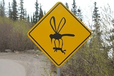 24 Foreign Road Signs That Make Absolutely No Sense Funny Signs, Welcome To Canada, Lost Poster, Construction Signs, Lost Cat, Road Signs, Losing A Pet, Street Signs, A Sign