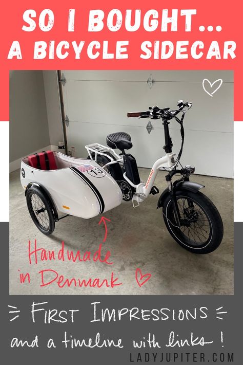 So I Bought…a bicycle sidecar – Lady Jupiter Bike Sidecar, Bike With Sidecar, Bicycle Sidecar, Red Rain, Side Car, Bike Repair, Mad Dog, Bike Frame, Sidecar