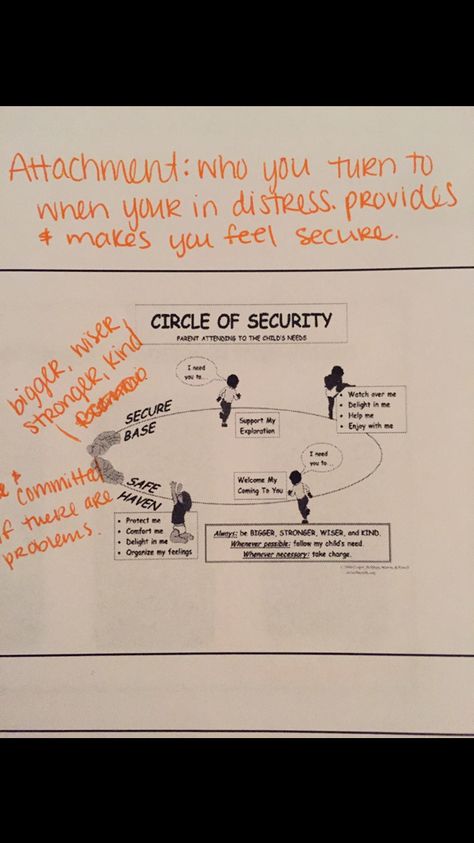 Circle of security Coping Skills, Circle Of Security, Attachment Disorder, Attachment Theory, Secure Attachment, Focus On Me, Graduate School, Social Work, Psych