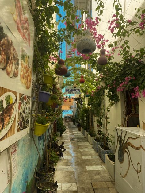 Nature, Pretty Places Aesthetic, Alleyway Aesthetic, Turkish Garden, Place Aesthetic, Whimsical Aesthetic, Urban Concept, Cool Places, Colorful Places