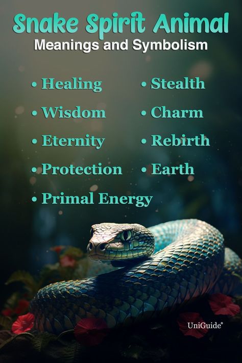 Learn about snake symbolism, the snake spirit animal, and more on UniGuide. #healing #wisdom #primalenergy #protection #earth #stealth #charm #rebirth #eternity #snake #spiritanimal #symbolism #nature #wildlife #transformation #growth #knowledge #balance #serpent #renewal #ancientwisdom #spirituality #cycles #sheddingskin #energy #symbolic #vitality #renewedlife #insight #power #mystery #snaketotem #snaketotemanimal #snakepoweranimal #totemanimals #animalguides #spiritguides Spirit Animal Snake, Snake Symbolism Meaning, Snake Mythology, Snake Symbolism, Snake Meaning, Native American Spirit Animals, Snake Spirit Animal, Magickal Correspondences, Symbolism Meaning