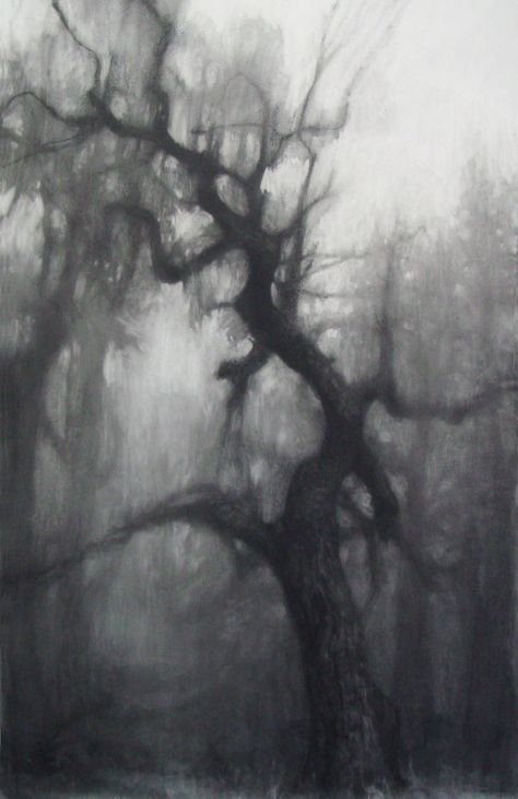drawing "Large Oak" Croquis, Easy Charcoal Drawings, Silverpoint Drawing, Creepy Backgrounds, Forest Drawing, Graphite Art, Art Charcoal, Charcoal Sketch, Charcoal Art