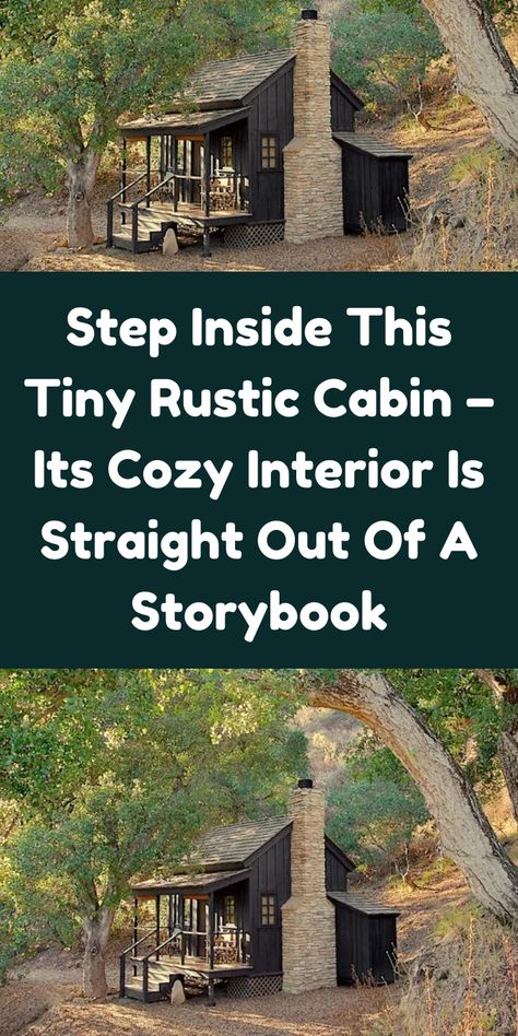 Cozy Tiny Cabin, Rustic House Small, Tiny Cabin Storage Ideas, Small Cabins In The Woods Rustic, Self Built Cabin, Vacation Cabin Interior, Rustic Tiny House Cabin Interior, Tiny Cabin Ideas Interiors, Small Cabin Kitchens Tiny Cottages