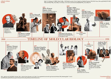 Mẫu Power Point, Timeline Infographic Design, Art History Timeline, Timeline Project, Mises En Page Design Graphique, Photo Timeline, Desain Ui, Historical Timeline, Infographic Design Layout