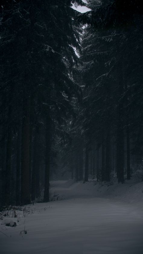 Tema Dark, Moody Wallpaper, Dark Forest Aesthetic, Dark Naturalism, Snow Forest, Dark Nature Aesthetic, Forest Pictures, Dark Paradise, Dark Pictures