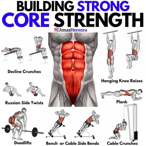 Fitness Coach Jonas Hereora on Instagram: “✅ How To Build Strong Core Strength ✅ by @jonashereora⁠ ⠀⁠ 🩸 To have a strong core, you'll need to include more exercises than just a few…” Core Workout Men, Core Strength Exercises, Gym Workout Guide, Gym Workout Planner, Gym Workout Chart, Workout Routine For Men, Gym Workouts For Men, Trening Fitness, Abs And Cardio Workout