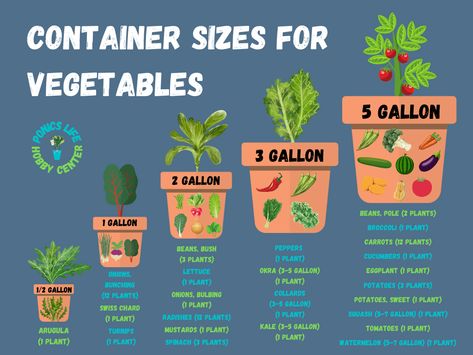 Tips For Growing Vegetables, Gardening In Pots Vegetable, Container Garden Design Layout, Self Watering Containers, Beds Diy, Backyard Gardens, Planting Potatoes, Bucket Gardening, Gardening Vegetables