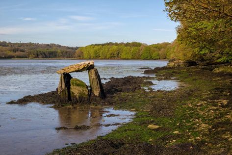 Partially submerged structure is a prehistoric tomb - HeritageDaily - Archaeology News Medieval Tower, Southern Ireland, Archaeology News, Great Warrior, Standing Stone, Republic Of Ireland, Beneath The Surface, Eastern Shore, Famous Places