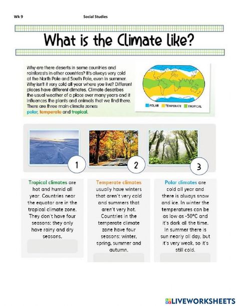 Climate zones activity Climate Zones Activities, Climate Activities, Polar Climate, What Is Climate, Teaching Weather, Earth Science Lessons, Esl Grammar, Interactive Notes, Geography For Kids