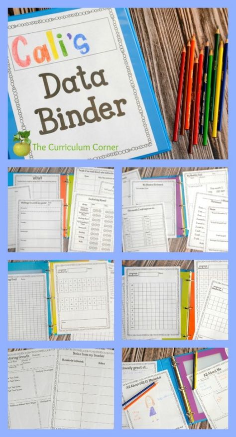 FREEBIE ALERT! 60 editable student data tracking binder pages from The Curriculum Corner Organisation, Folder Binder, Data Organization, Student Data Binders, Data Folders, Student Data Tracking, Student Data Notebooks, Binder Templates, Data Binders