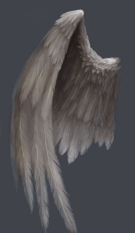 Angel Wing Artwork, Wings Artwork, Angel Wings Painting, Angel Wings Drawing, Angel Wings Art, Wings Drawing, Angel Artwork, Angel Wings Tattoo, Angel Drawing