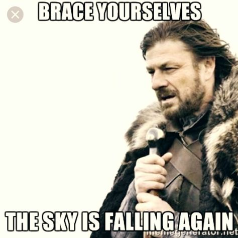 Sky is falling meme Skagen, September Ends, Jw Humor, Pharmacy Humor, Brace Yourself, You Meme, Library Card, It Goes On, Nurse Humor